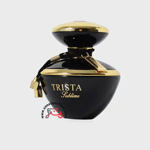 عطر ادکلن دمونت پاریس تریستا سابلایم